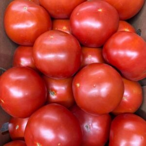 Organic Tomatoes