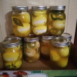 Pickled Eggs