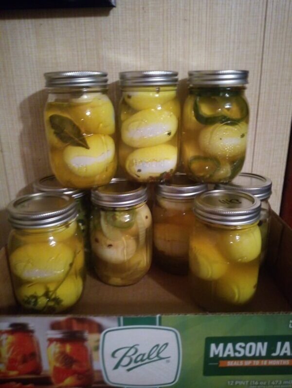 Pickled Eggs