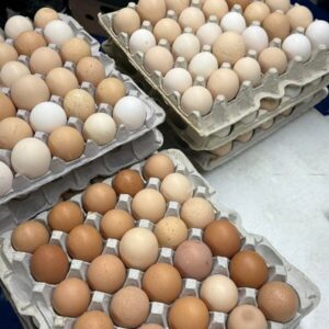 Free Range Eggs